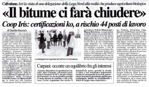 la provincia 20 marzo 2010